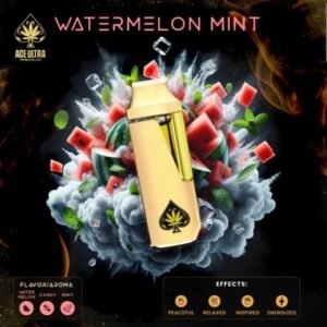 ace watermelon mint disposable