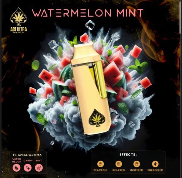 ace watermelon mint disposable